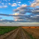 Agricoltura, PSR Campania 2018: target di spesa superato in largo anticipo