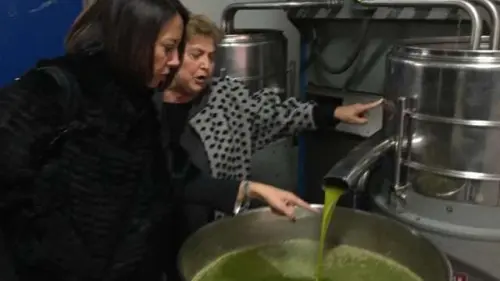 Nunzia De Girolamo a Cerreto Sannita: visita frantoi e convegno su olio extravergine