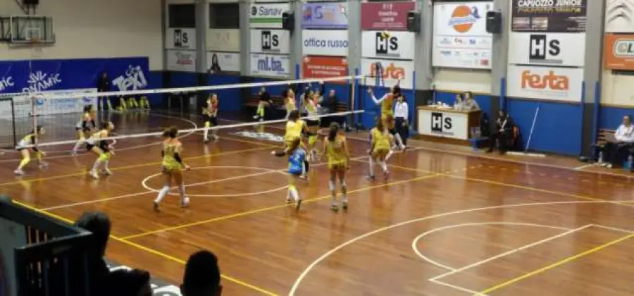 Accademia Volley, venerdì sera amichevole all'Amato