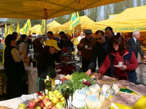 Da oggi in vigore provvisoriamente il Ceta. Cosa cambia per la Campania