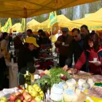 Da oggi in vigore provvisoriamente il Ceta. Cosa cambia per la Campania