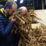 La Campania è la settima regione agricola d'Italia. Ampi margini per crescere