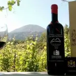 Eroi vesuviani, Gilbert e Gaillard premiano la Lacryma Christi Doc