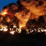 Emergenza incendi, De Luca firma convenzione solo dopo disastri. Forza Italia attacca