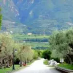 Campania, ecco i primi 22 Agrichef. C'è anche ''La Vecchia Trainella'' di San Lorenzo Maggiore