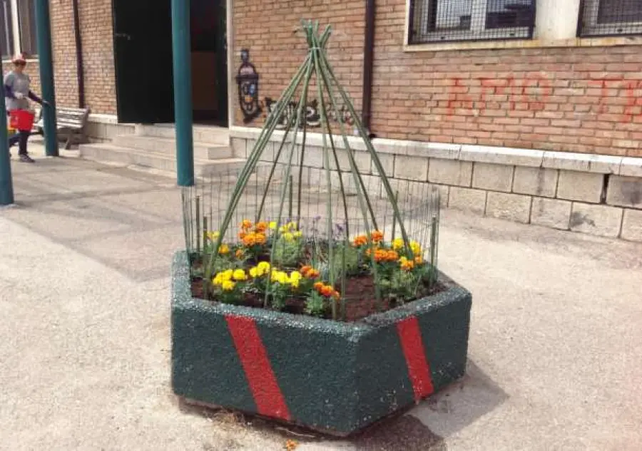 Guardia Sanframondi, i bambini impegnati nel progetto “Mettiamo radici”