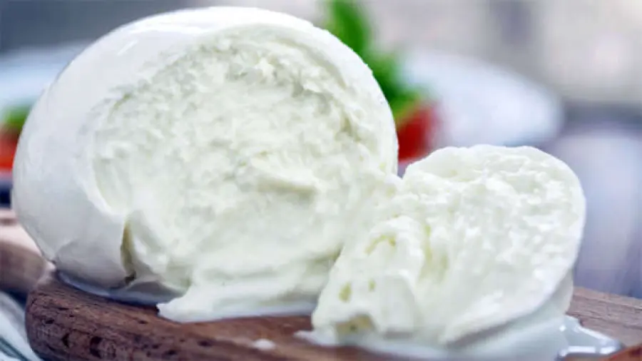 Mozzarella di Bufala Campana in un volume di Paolo Russo: a Roma la presentazione con Coldiretti
