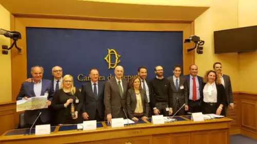 Olio, premio Sirena d'Oro: in Campania la migliore Bio