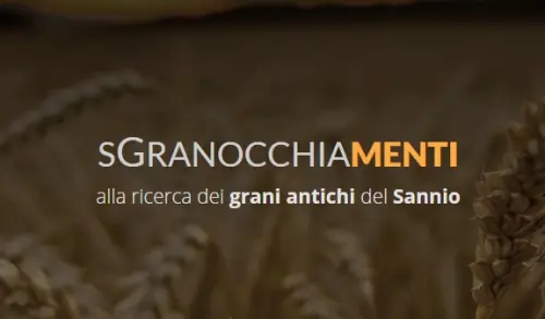 Cerreto Sannita, successo per la cena-convegno sui grani antichi