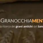 Cerreto Sannita, successo per la cena-convegno sui grani antichi