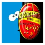 Il 27 Febbraio la ''Festa di Carnevale'' dell'Accademia Volley