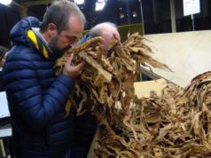 Philip Morris investe altri 500 milioni di euro per filiera corta del tabacco