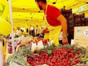 Cerasafest, presenze record alla Rotonda Diaz