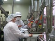 Screening prevenzione tumori gratis in Campania, riservatezza e sostegno psicologico Screening prevenzione tumori gratis in Campania, riservatezza e sostegno psicologico